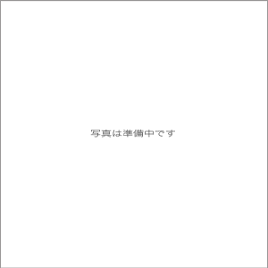 Let's Note CF-NX4